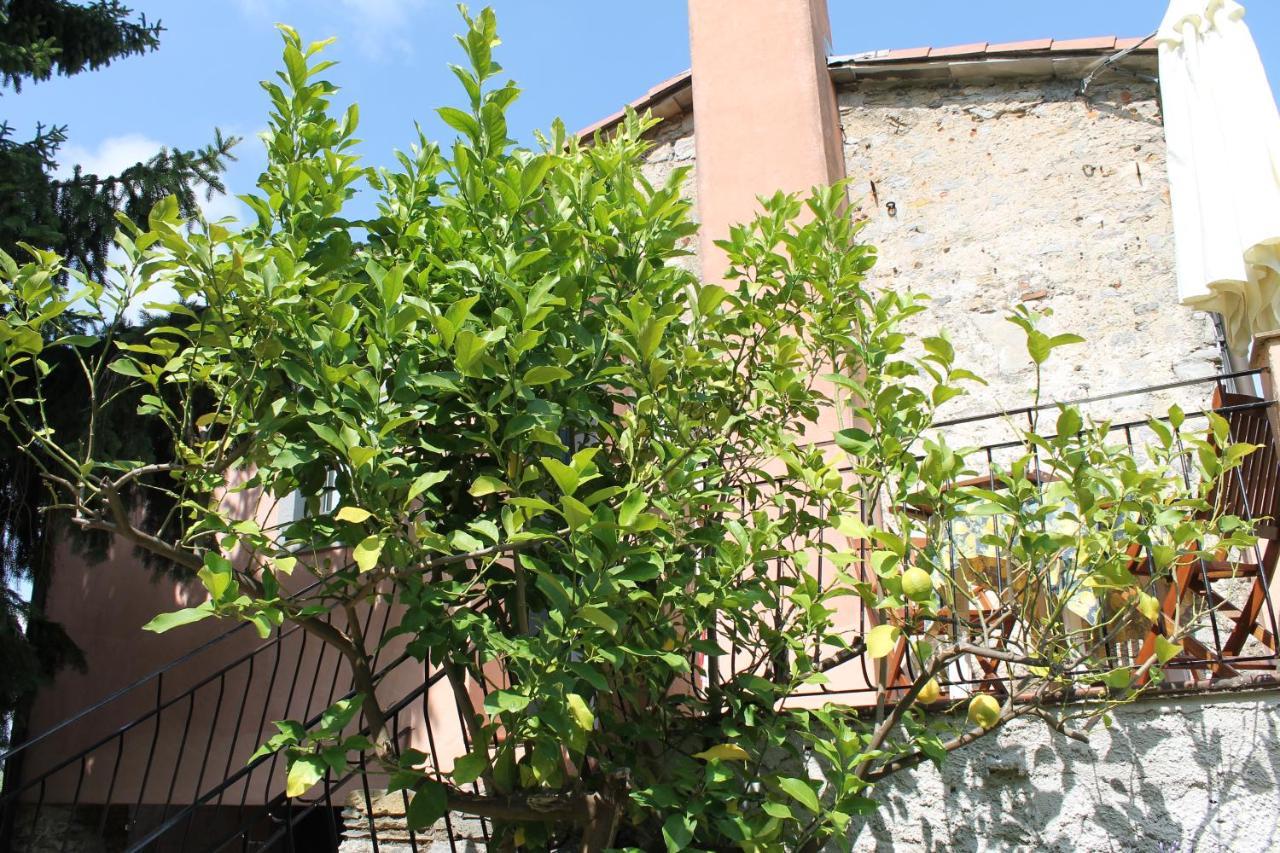 Agriturismo Terrazza Sul Golfo - Il Casale La Spezia Extérieur photo